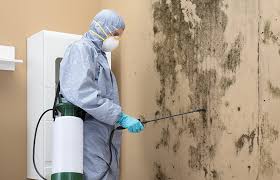 Best Asbestos and Lead Testing During Mold Inspection  in Somerset, WI